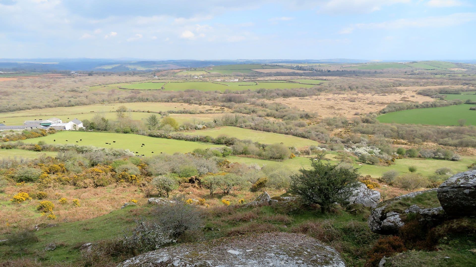 481WIDE-MidCornwall-MarkCamp.jpg