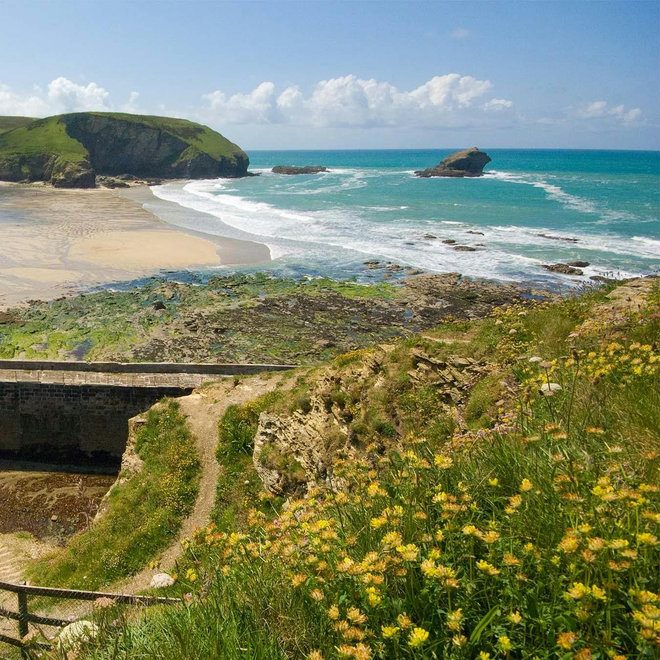 portreath-flowerhill.jpg