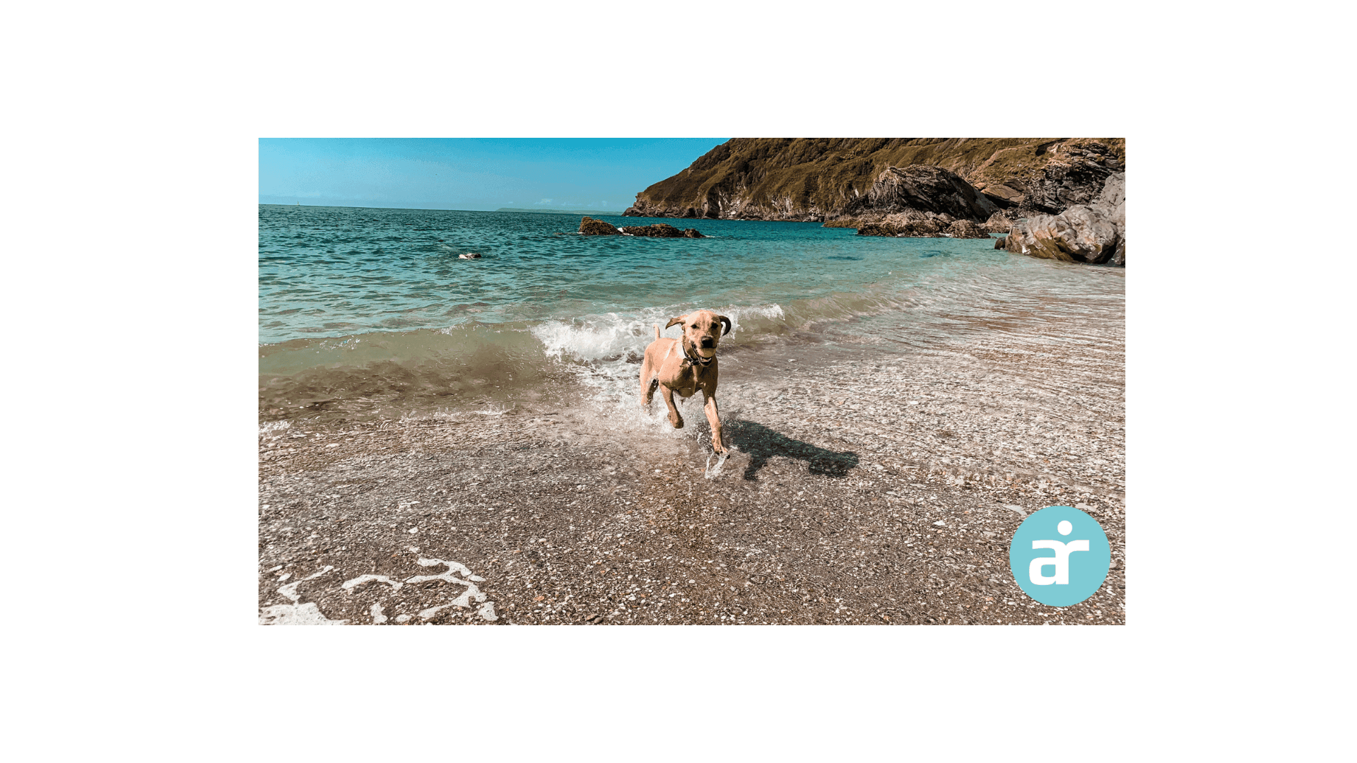 Dog-friendly cottages for families who love Cornwall - book now to get the best deal!