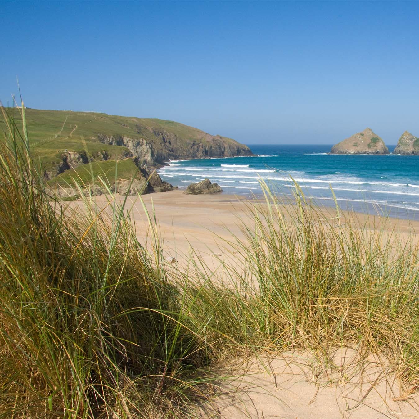 holywell-grass.jpg