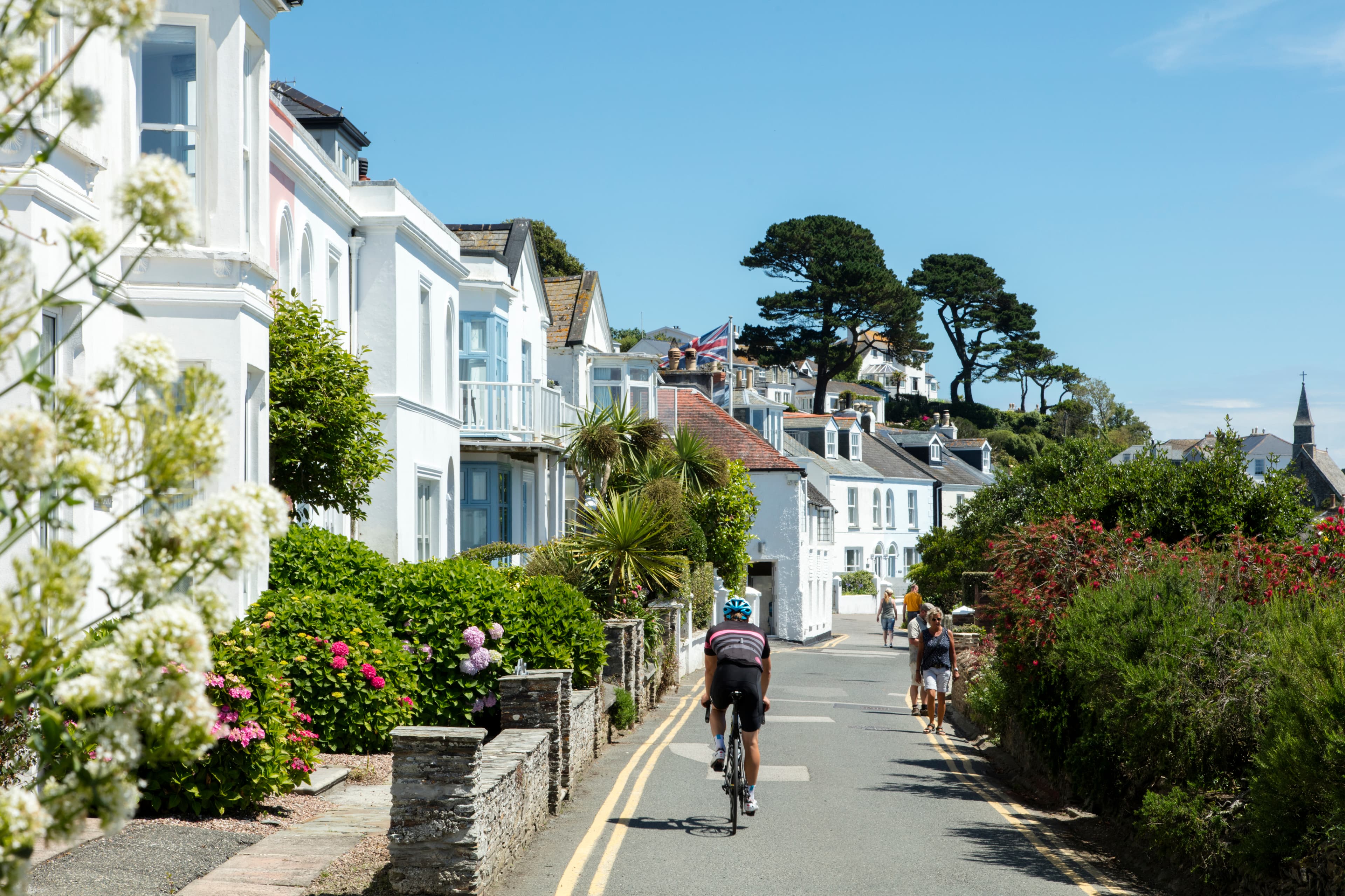 Cycling through a tree-lined Cornish lane
