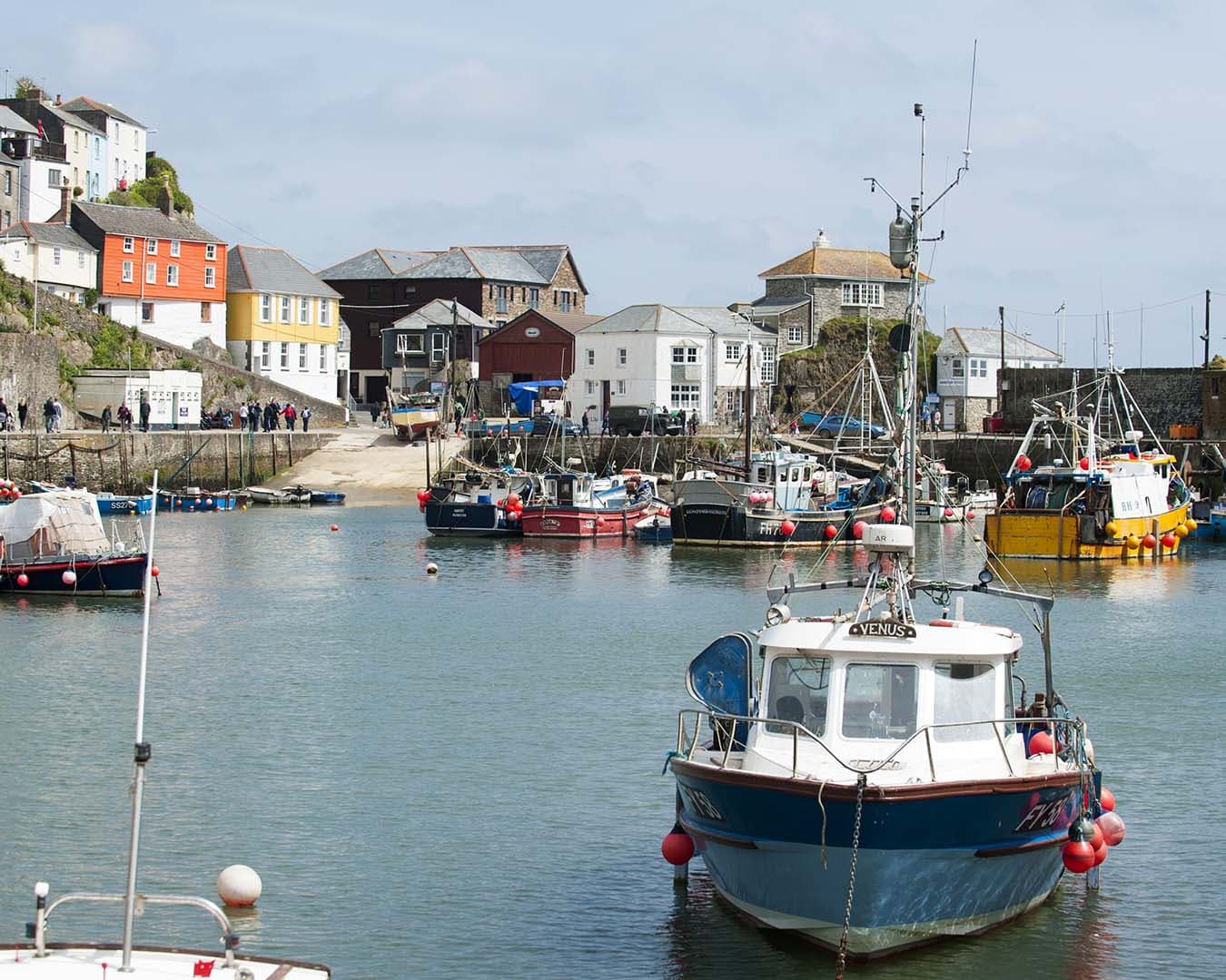 481 Mevagissey_AdamGibbard.jpg