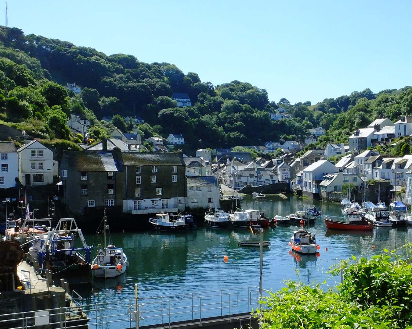 481 Polperro Mark Camp .jpg