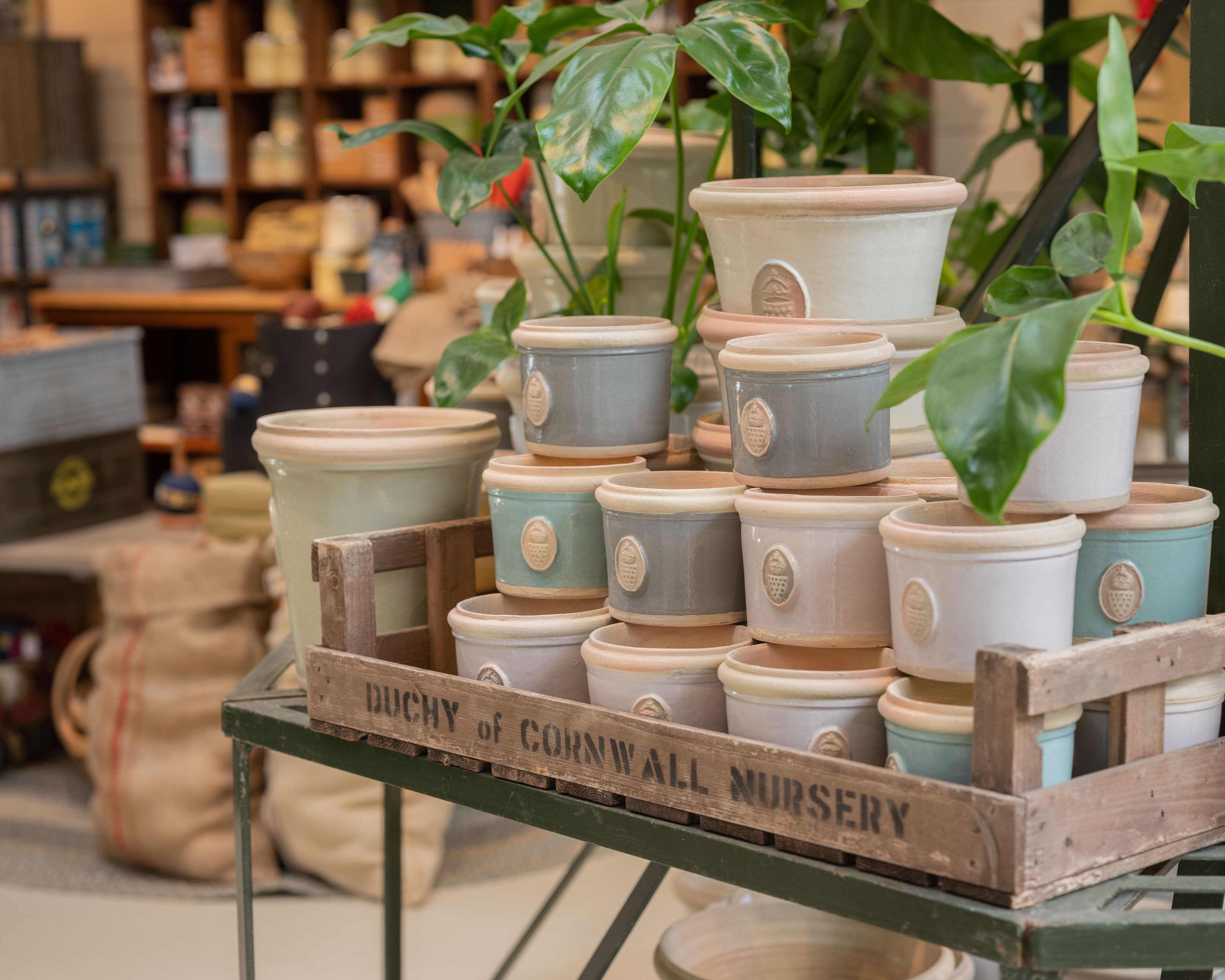 Duchy of Cornwall Nursery