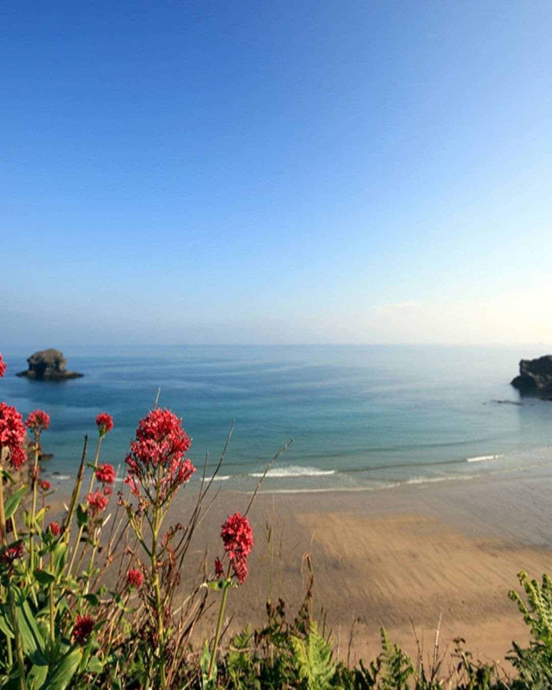 Gull-Rock,-Portreath-by-Ingrid-King (1)-min.jpg