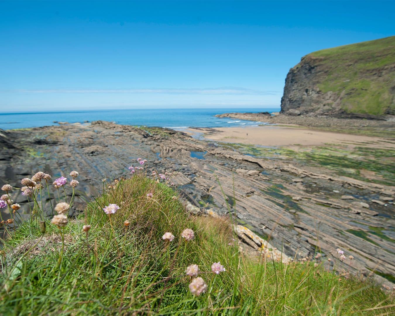 crackington-featured.jpg