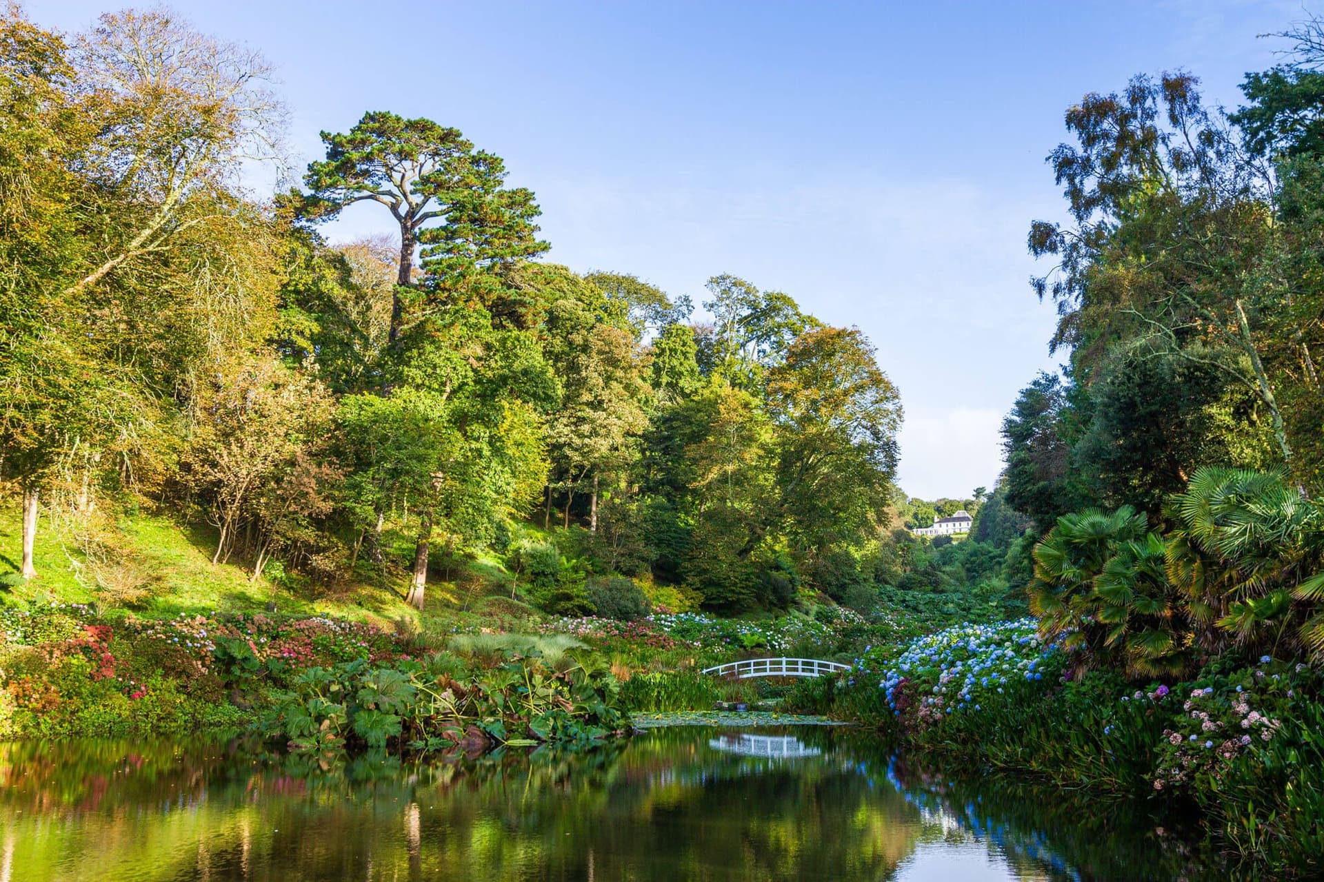 Cornwall Spring Gardens in Cornwall