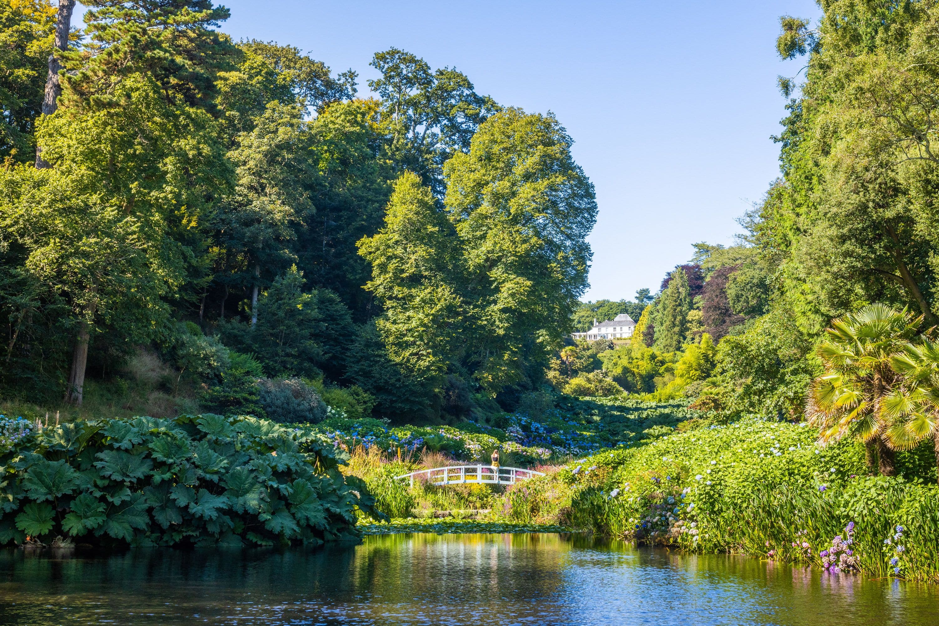 Visit Cornwall Family Attractions Trebah Garden visit-cornwall-family-attractions-trebah-garden