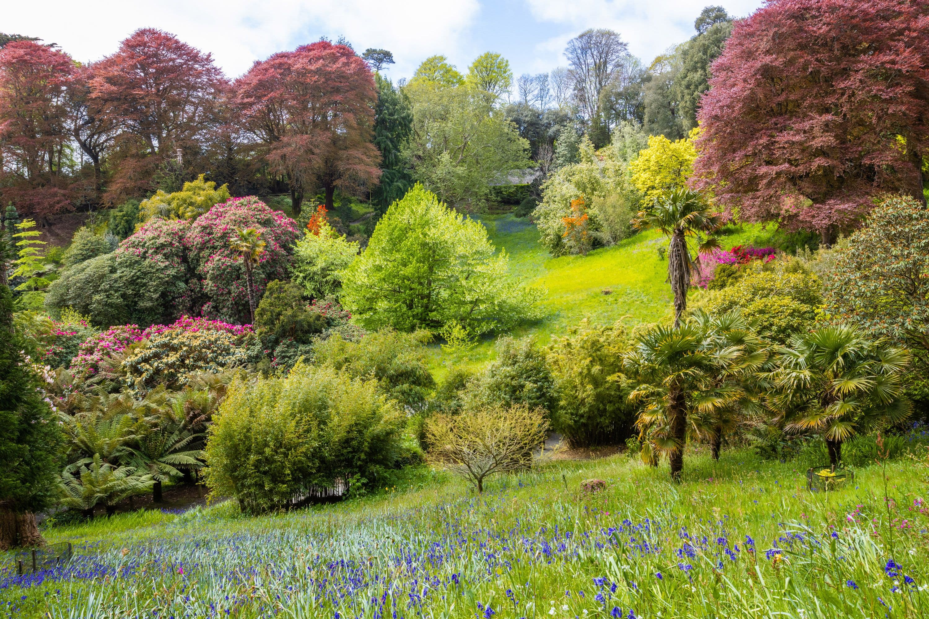Visit Cornwall Family Attractions Trebah Garden visit-cornwall-family-attractions-trebah-garden