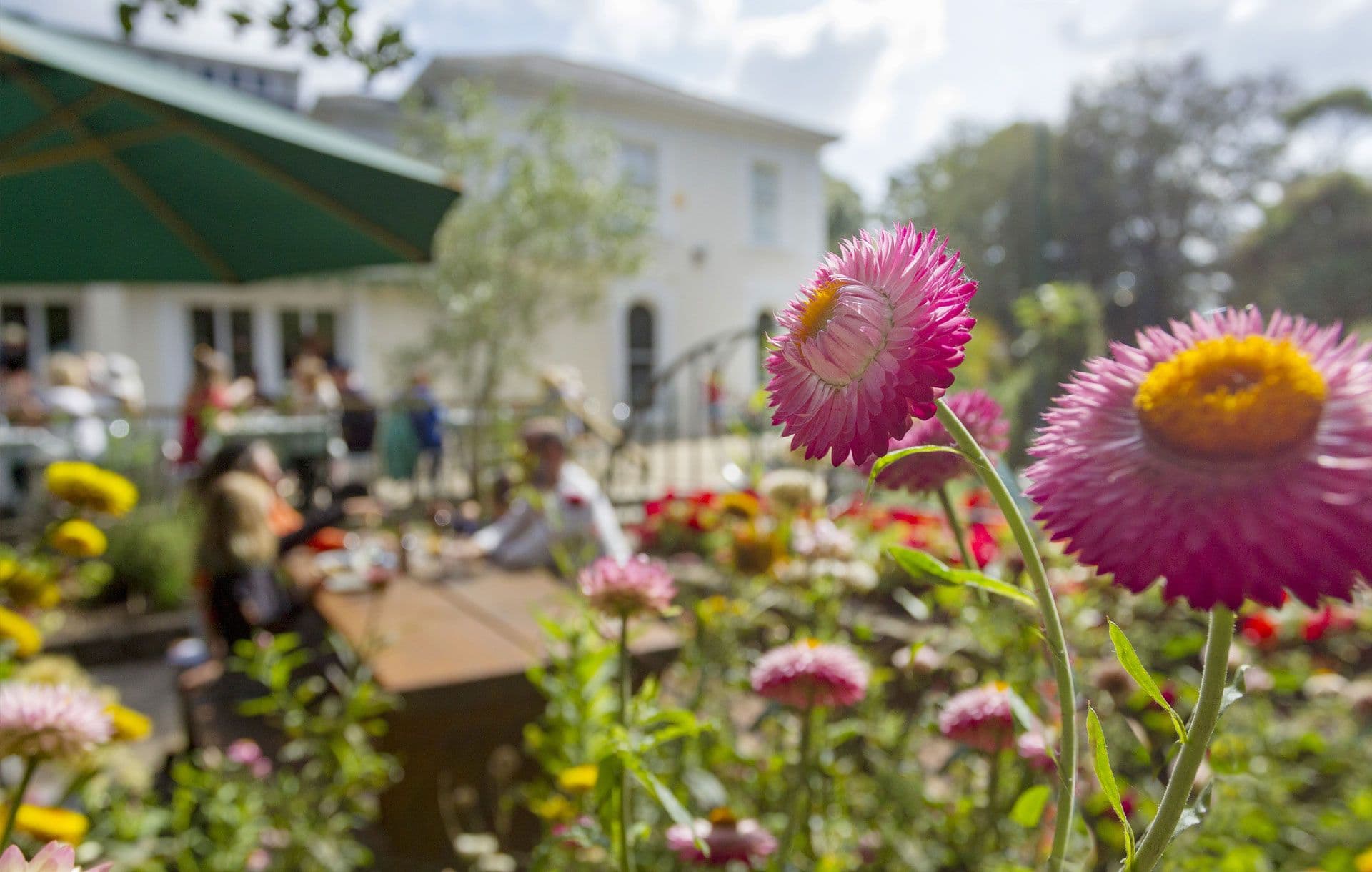 Hayle A Beach for Everyone